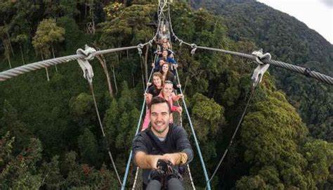 Nyungwe forest national park